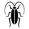 cochroaches pest control