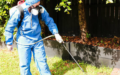 How to maintain your Termite Barrier